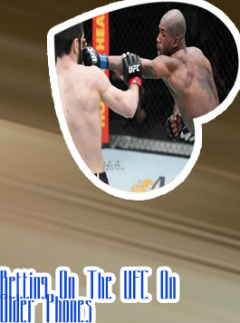 Bet on fights
