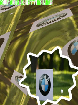 Bmw golf championship betting odds