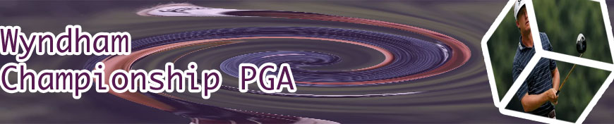 Wyndham expert picks